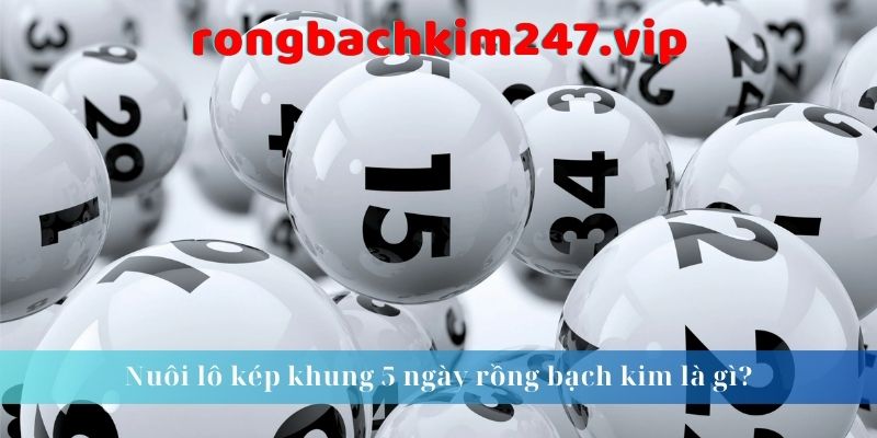 nuoi-lo-kep-khung-5-ngay-rong-bach-kim-la-gi