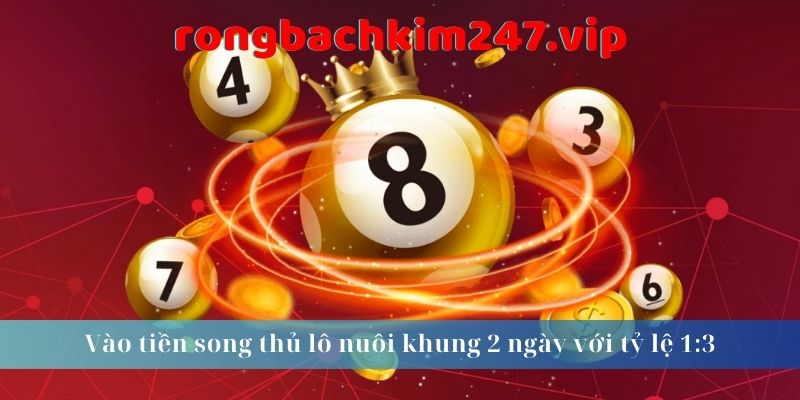 vao-tien-song-thu-lo-nuoi-khung-2-ngay-voi-ty-le-1-3