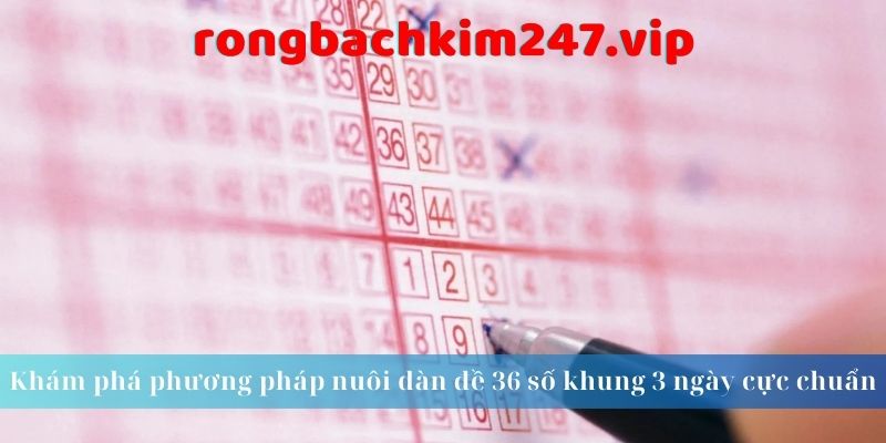 kham-pha-phuong-phap-nuoi-dan-de-36-so-khung-3-ngay-cuc-chuan
